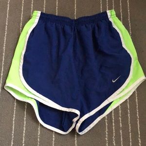 Nike Blue and Green Dri-Fit Shorts